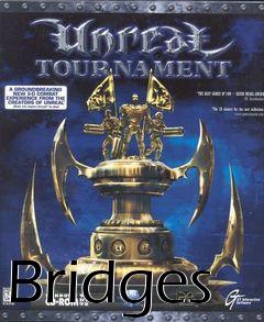 Box art for Bridges