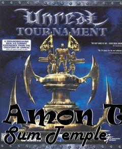 Box art for Amon The Sum Temple