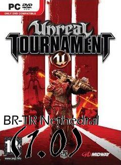 Box art for BR-TR-Nethedral (1.0)