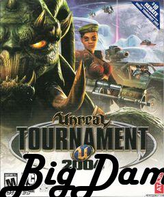 Box art for BigDam