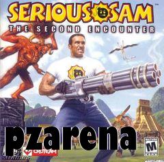 Box art for pzarena