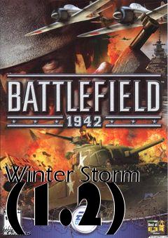 Box art for Winter Storm (1.2)