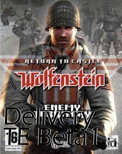 Box art for Delivery TE Beta1