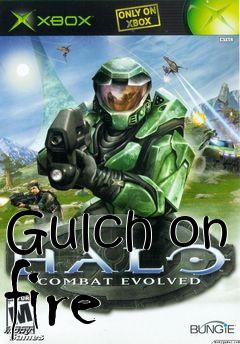 Box art for Gulch on fire