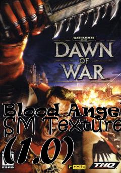 Box art for Blood Angels SM Texture (1.0)