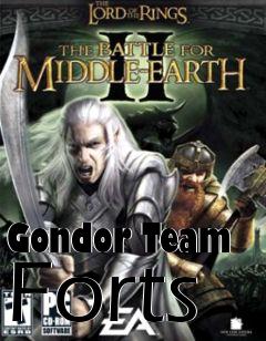 Box art for Gondor Team Forts