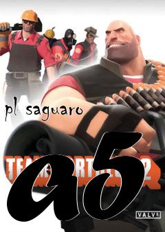 Box art for pl saguaro a5