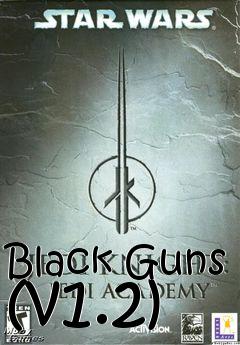 Box art for Black Guns (v1.2)