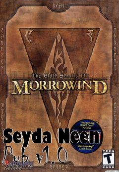 Box art for Seyda Neen Pub v1.0