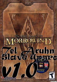 Box art for Tel Aruhn Slave Upgrade v1.0