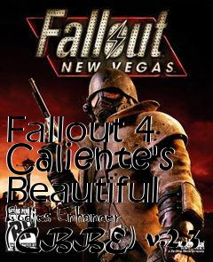 Box art for Fallout 4 Caliente