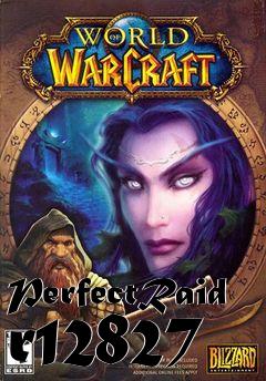 Box art for PerfectRaid r12827