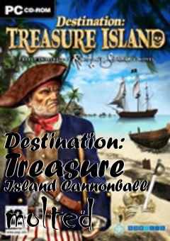 Box art for Destination: Treasure Island