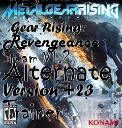 Box art for Metal
              Gear Rising: Revengeance Steam V1.2 Alternate Version +23 Trainer